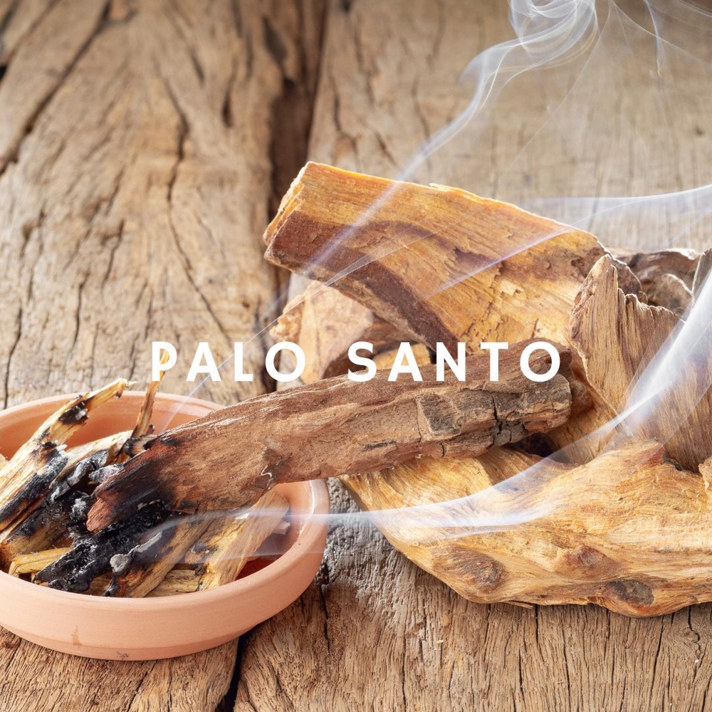 Palo Santo - Holy Wood