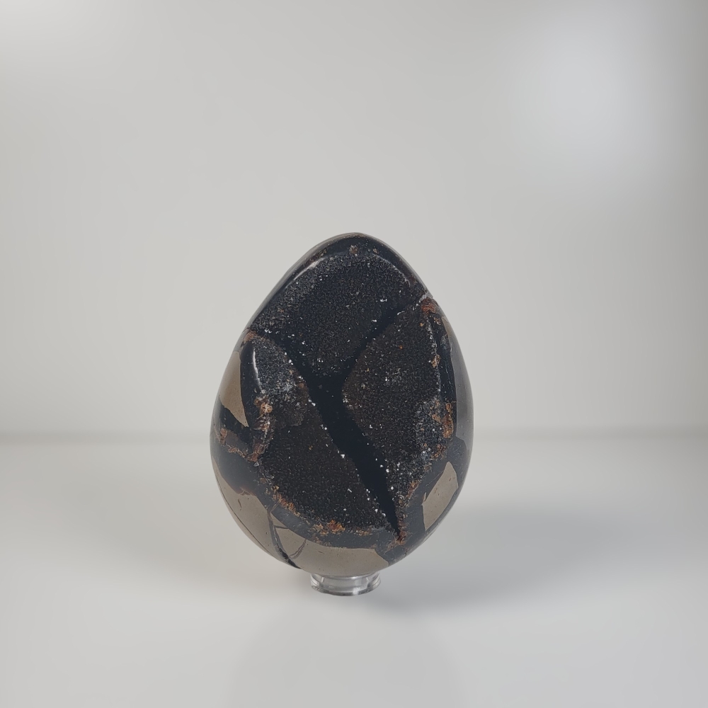 Dragon Egg | Wild Septarie Egg 690 gram