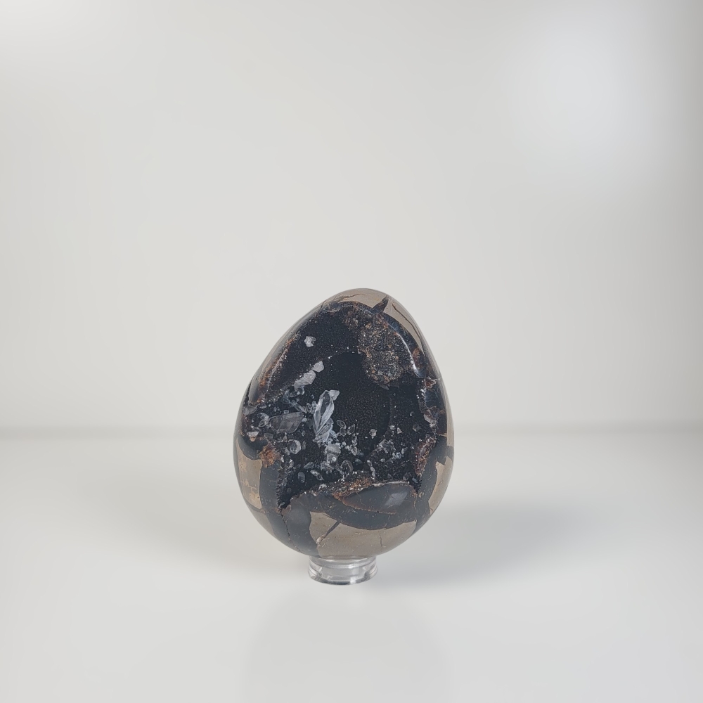 Dragon Egg | Wild Septarie Egg 410 gram