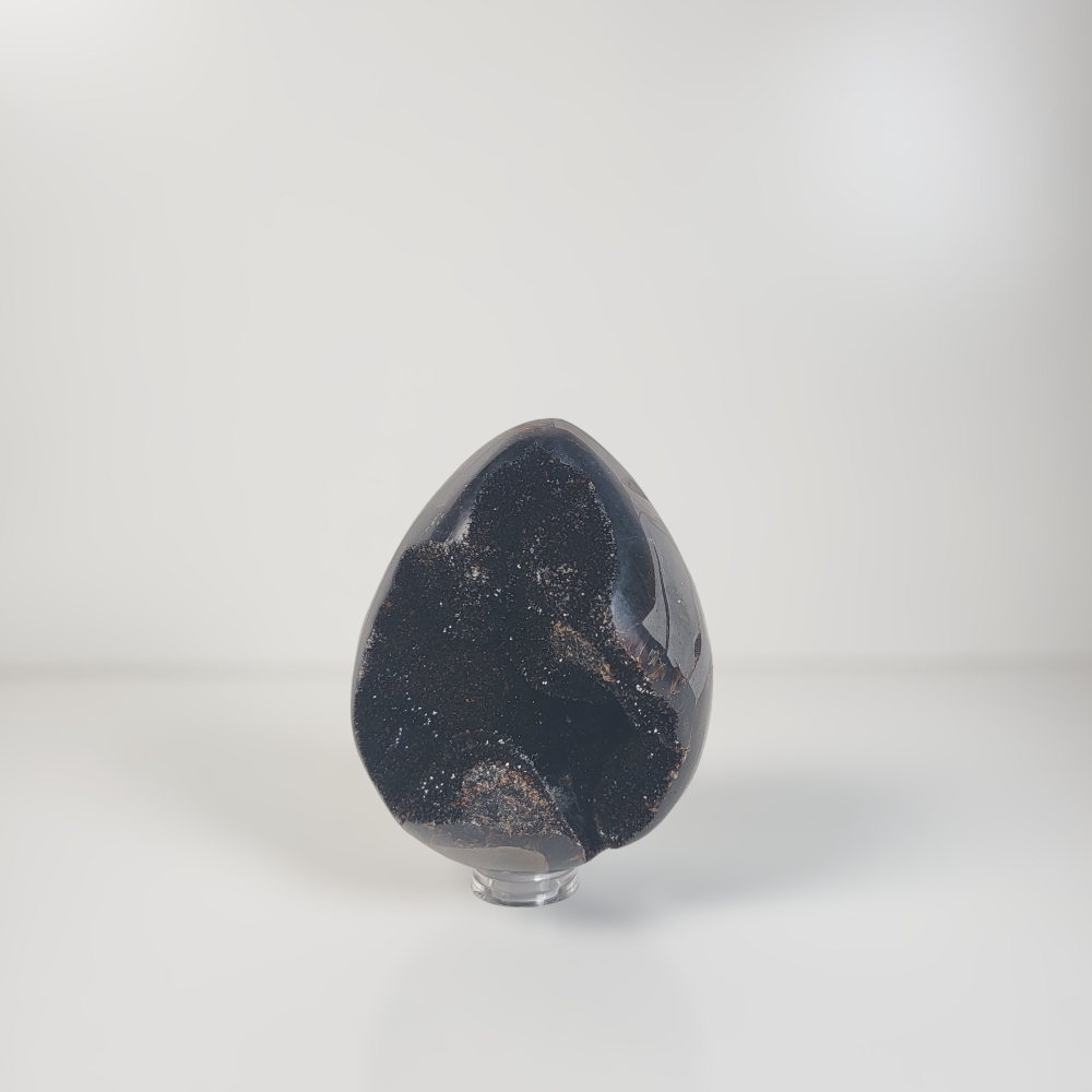 Dragon Egg | Wild Septarie Egg 550 gram
