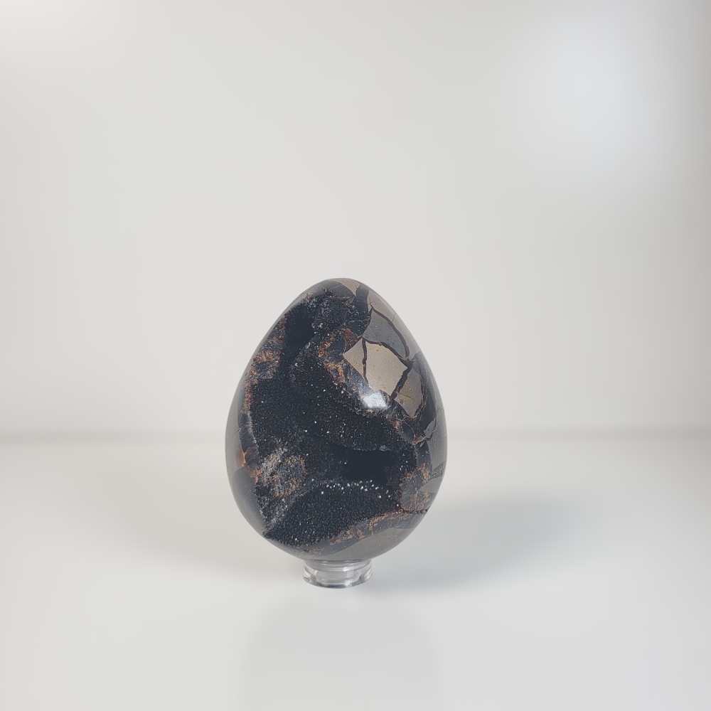 Dragon Egg | Wild Septarie Egg 500 gram