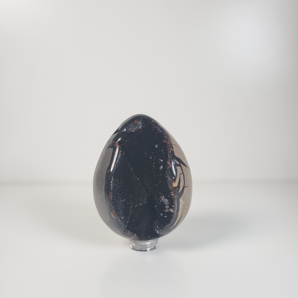 Dragon Egg | Wild Septarie Egg 480 gram