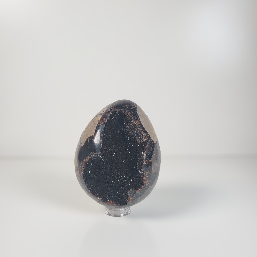 Dragon Egg | Wild Septarie Egg 510 gram