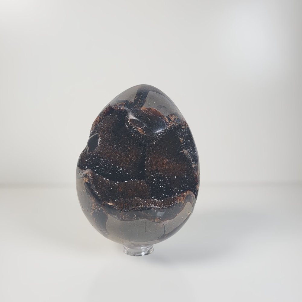 Dragon Egg | Wild Septarie Egg 990 gram
