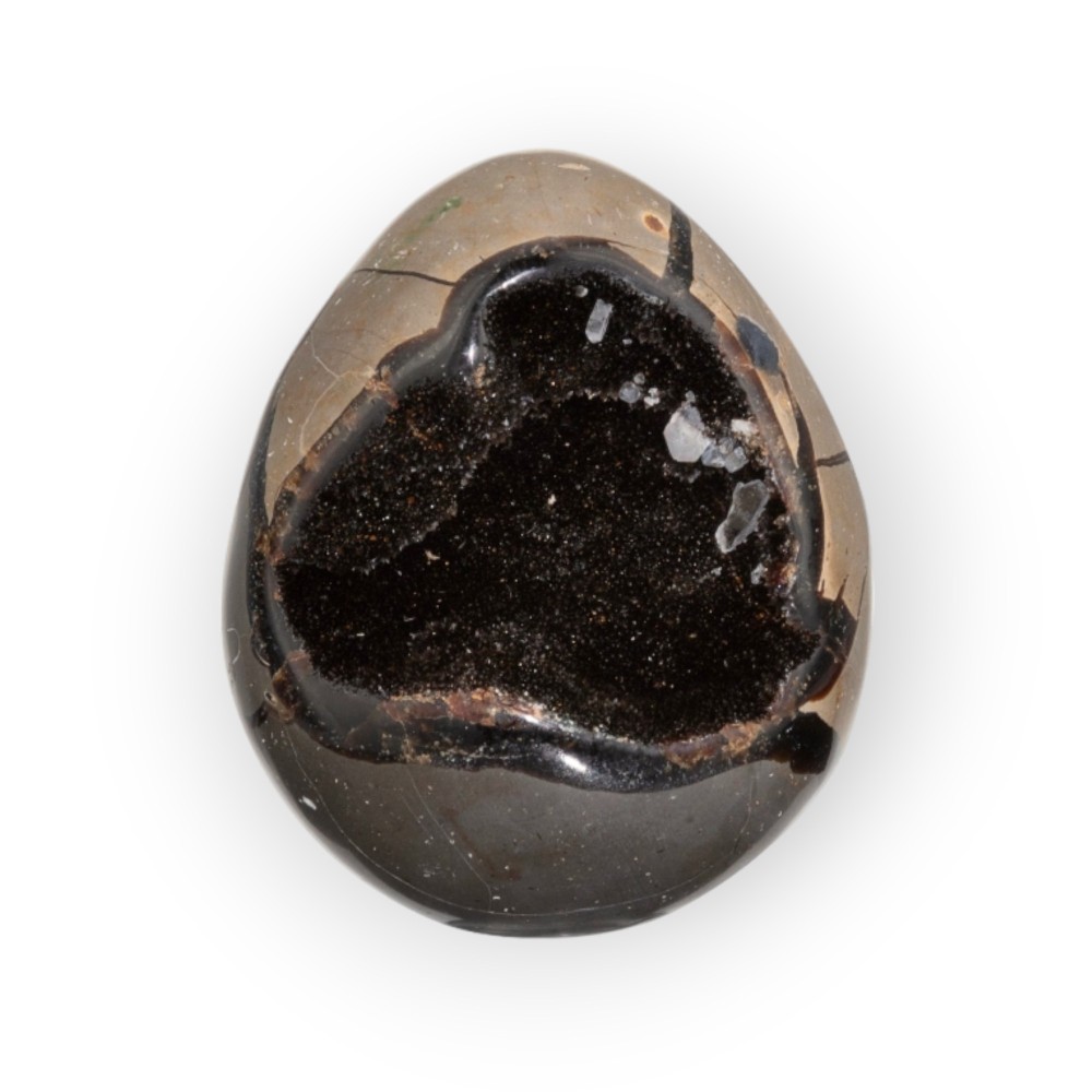 Dragon Egg | Wild Septarie Egg 255 gram