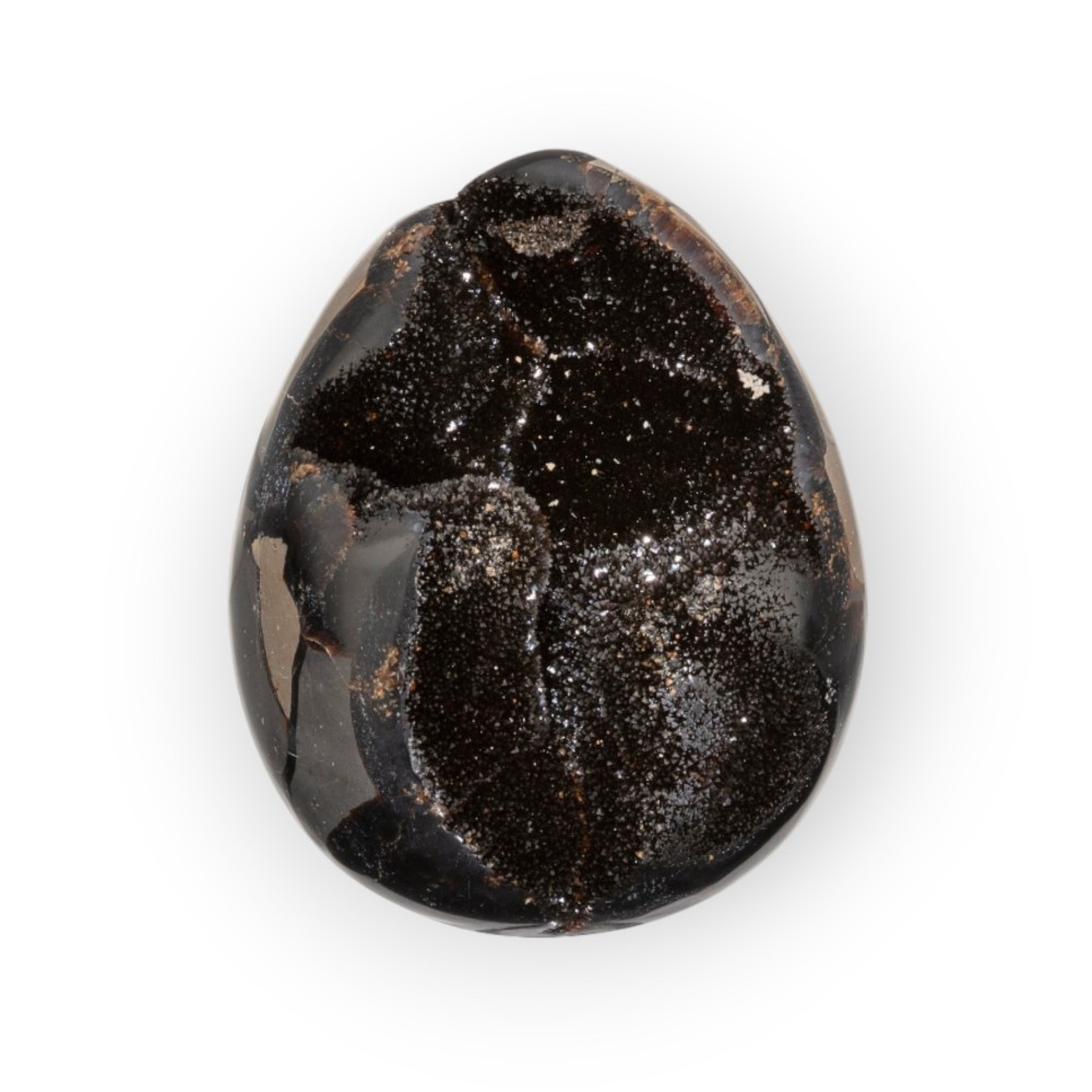 Dragon Egg | Wild Septarie Egg 583 gram