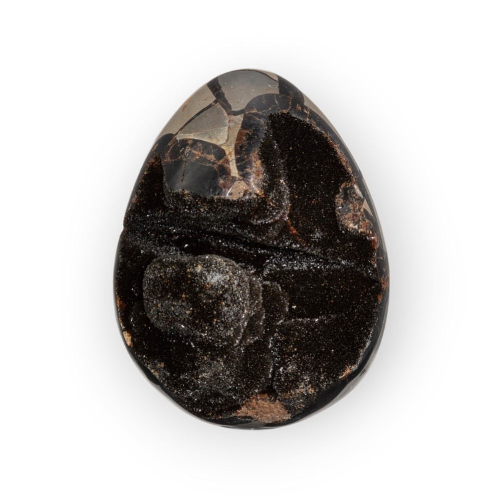 Dragon Egg | Wild Septarie Egg 1334 gram