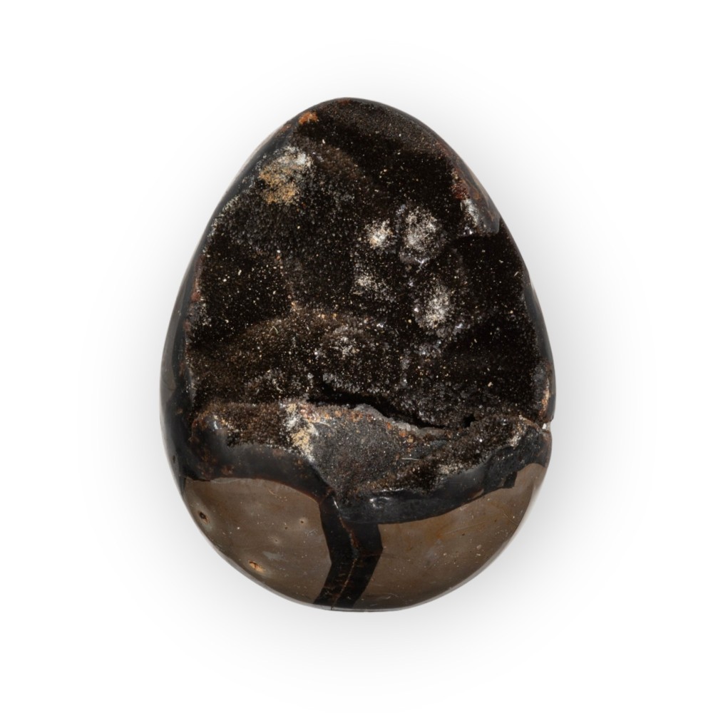 Dragon Egg | Wild Septarie Egg 1098 gram