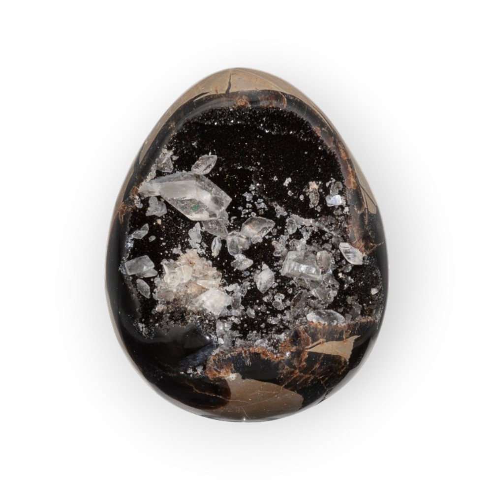 Dragon Egg | Wild Septarie Egg 487 gram