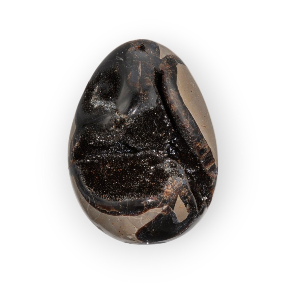 Dragon Egg | Wild Septarie Egg 568 gram