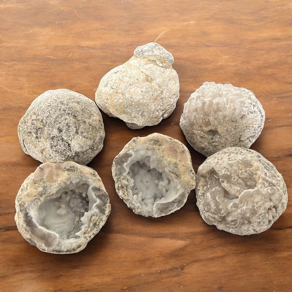 Mexicaanse Geode Kraken