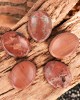 Rode Jaspis Worry Stone - Duimsteen 3,5-4,5cm